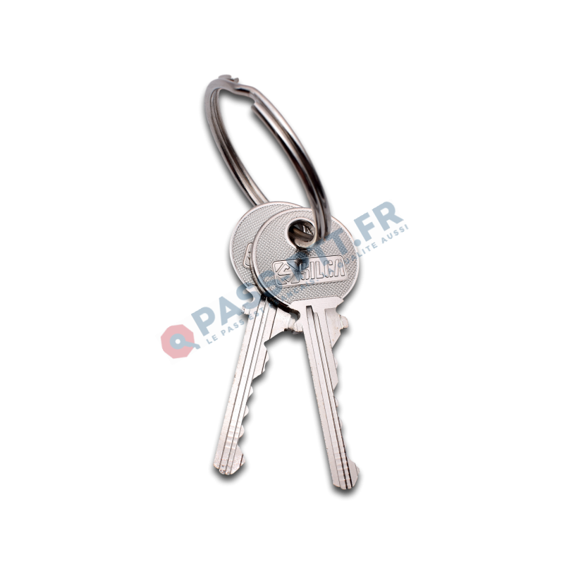 PTT-KEY - Clé Pass PTT T10 pour serrure boîte aux lettres et