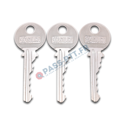 PTT-KEY - Clé Pass PTT T10, F10, Q10, R10, S10 serrure boîte aux lettres - Clé  passe